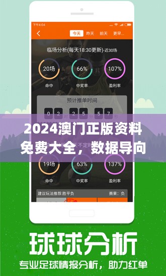 2024澳门精准正版资料-精选解释解析落实